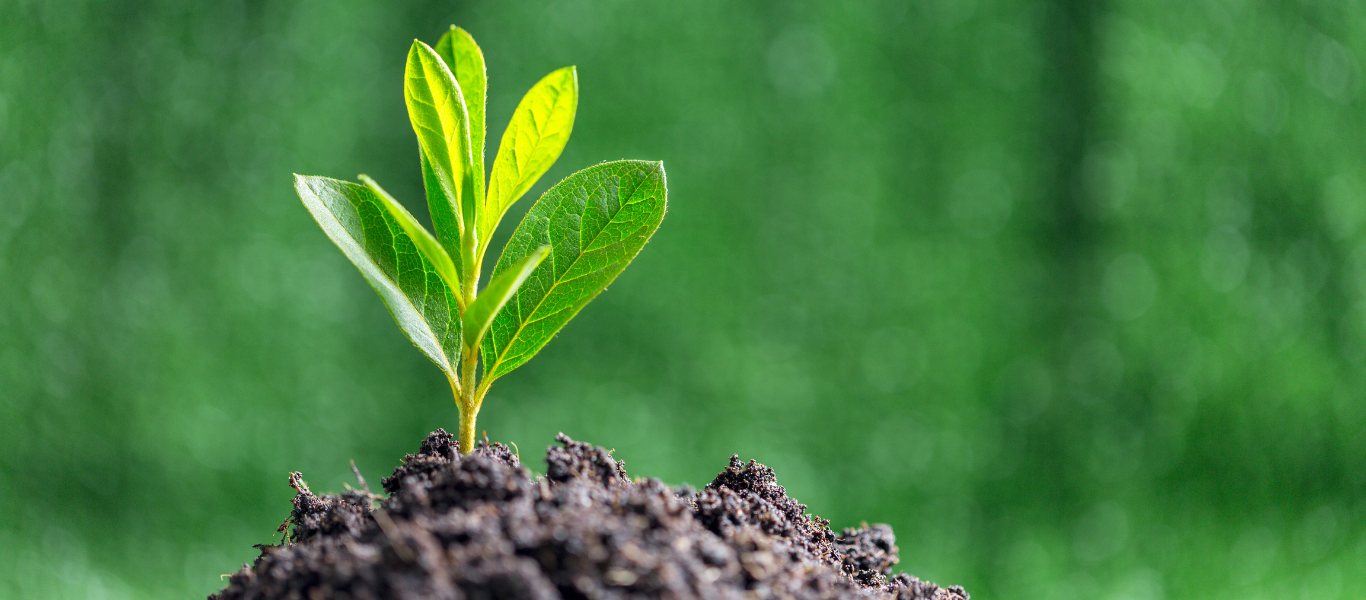 ¿Por qué cada vez más personas eligen la bicicleta como su medio de vida?